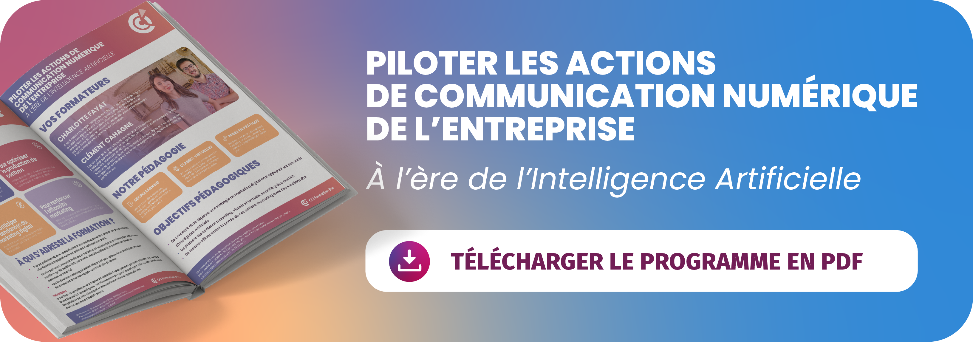 PROGRAMME IA MARKETING