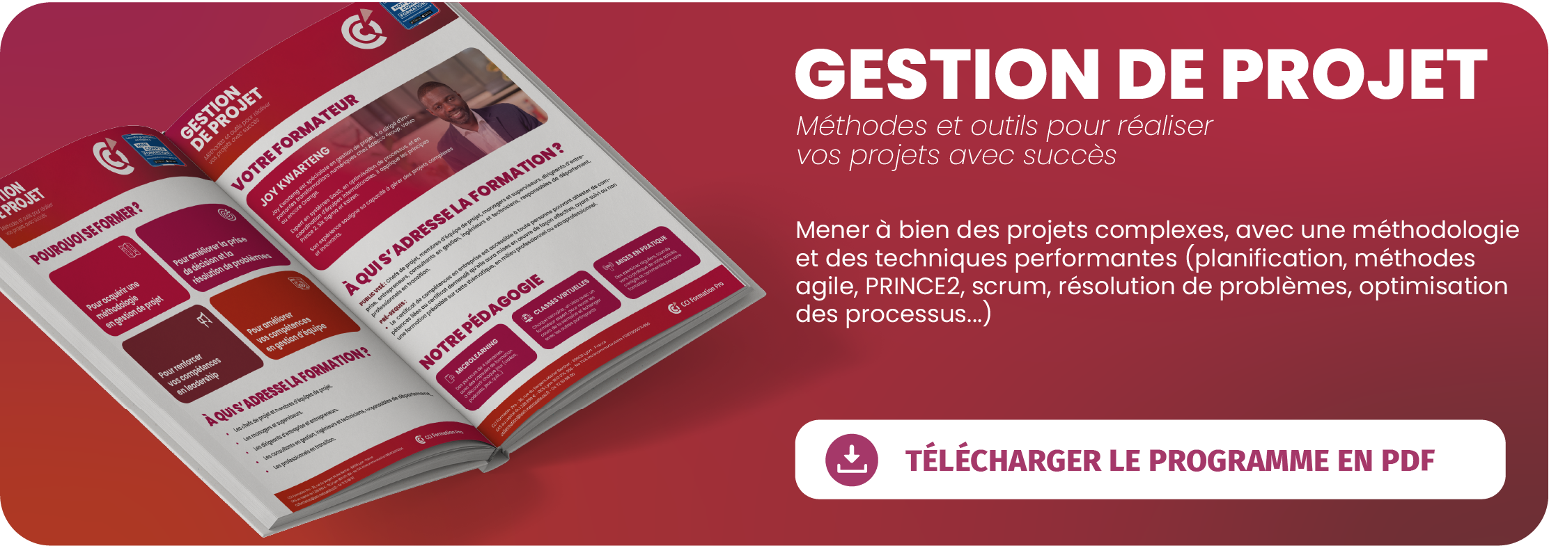 programme pdf gestion de projet